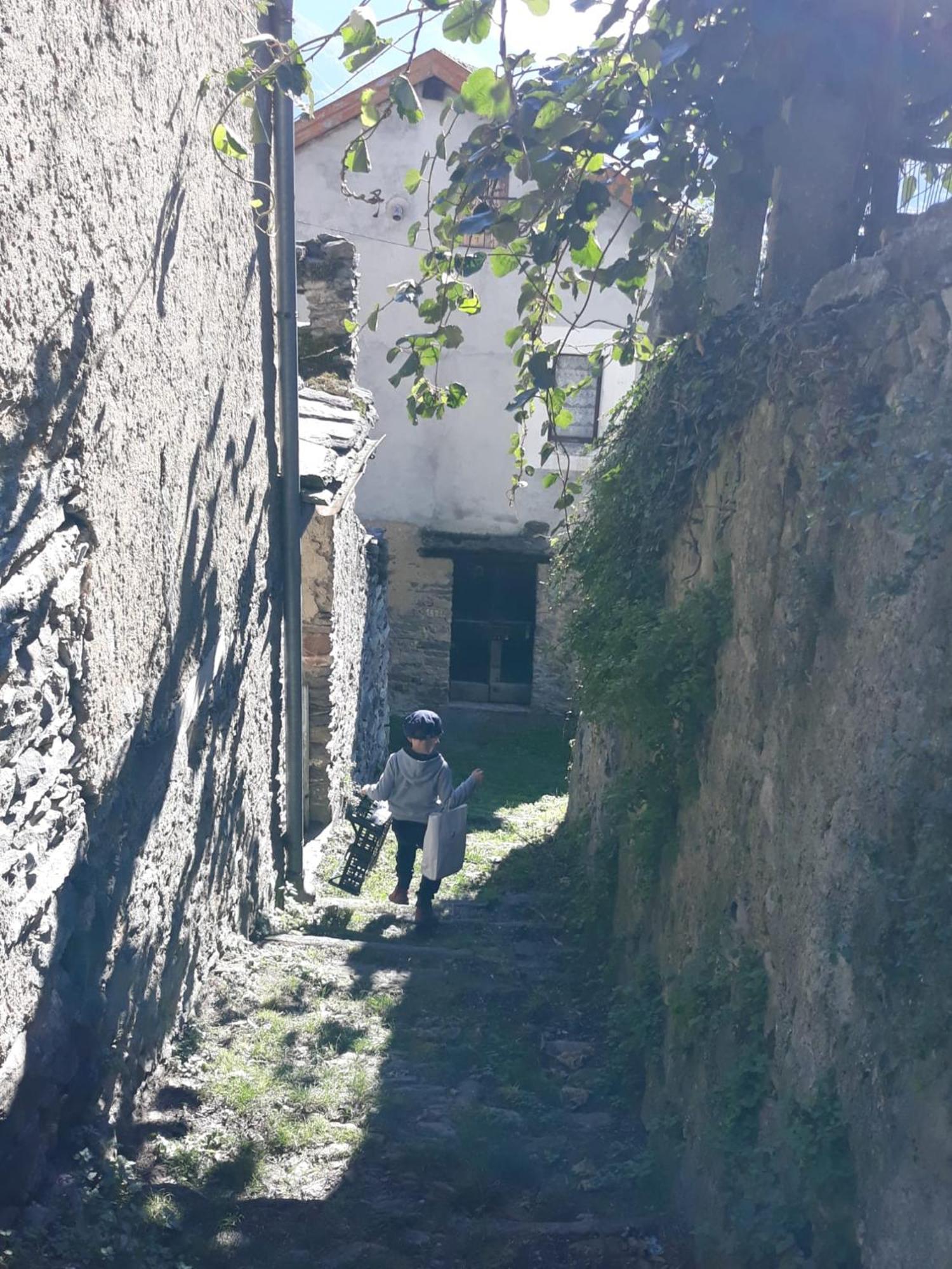 Al Pinone Villa Crevoladossola Exterior foto